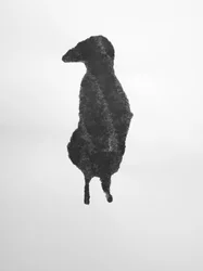 Sans titre, 2009 (monotype)