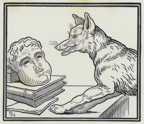 Le Renard et le masque