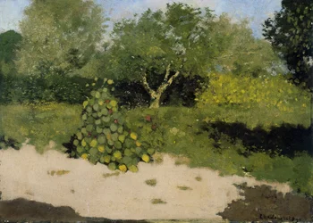 Coin de jardin avec capucines