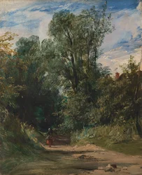 Un chemin boisé