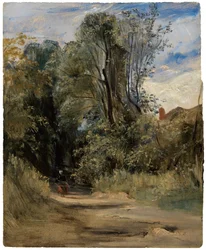 Un sentier forestier