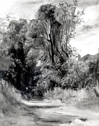 Chemin à travers un bois