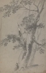 Berger Assis Sous un Arbre
