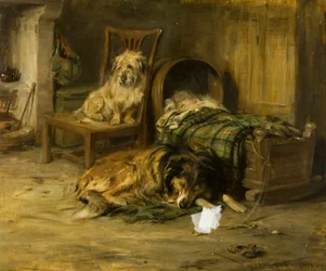 Compagnons somnolents