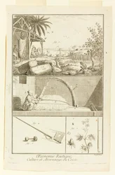"Culture et Arsonnage du Coton" de l