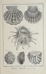 Illustration du 