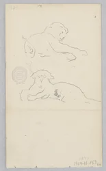 Chien