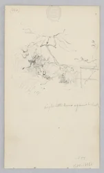 Paysage