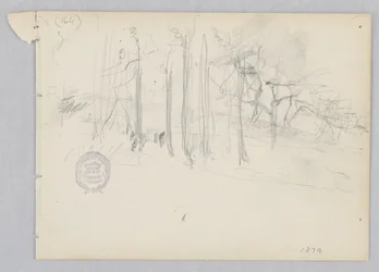 Paysage