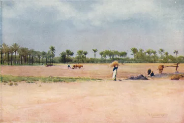 Esbet-El-Ekiad - Terre de Goshen, vers 1880, 1904