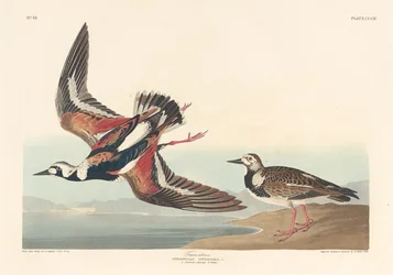 Tournepierre, 1836