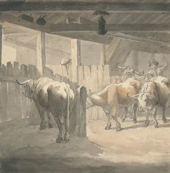 Étable à vaches