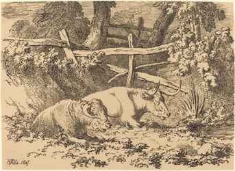 Bétail au repos