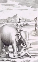 Une exécution par un éléphant, pub. 1681