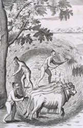 La manière de fouler leur riz, pub. 1681