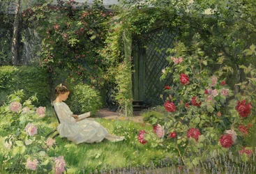 Dans le jardin de roses