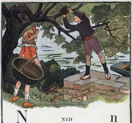 Livre pour enfants « Je saurai lire - Alphabet méthodique et amusant par un papa » 1926. Illustration de Robert Salles (1871-1929). Abécédaire : lettre N comme nid. Un garçon prend un nid construit sur un arbre