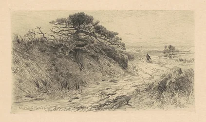 Le chemin vers le rivage