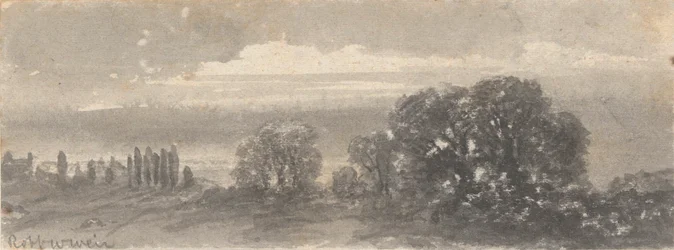 Paysage - Arbres