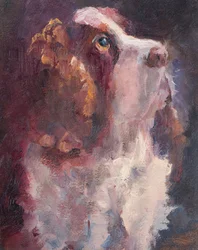 Roméo, 2015