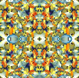 Carreau de poisson kaléidoscope