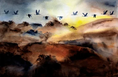 Des oiseaux survolant les collines