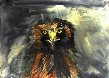 Le regard féroce de l
