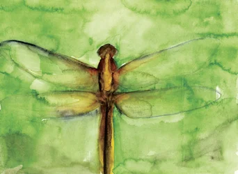 Aquarelle « Libellule verte »