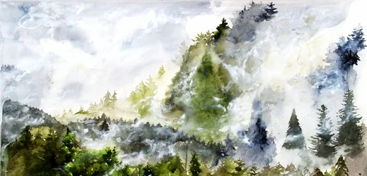La forêt de Misty Mountain