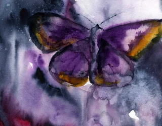 Le rêve du papillon violet