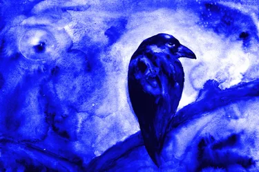 Un corbeau au clair de lune