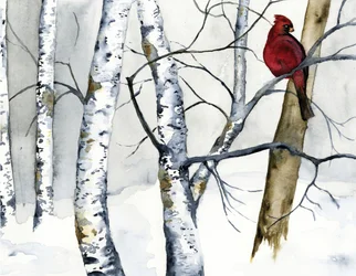 Forêt de bouleaux et de cardinaux rouges