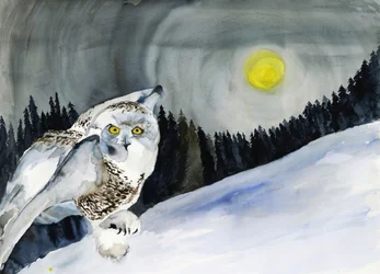 Chouette des neiges et la Lune d