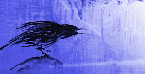 Stormy Blue Raven