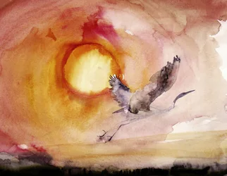 Coucher de soleil aux couleurs vives