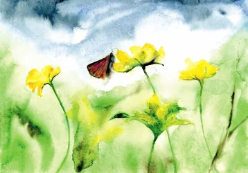 Papillon des prairies