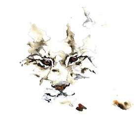 Aquarelle « Lynx sauvage »