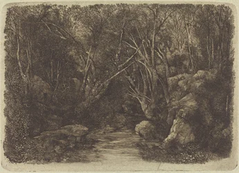 Le ruisseau dans les bois