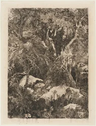 La Forêt de Fontainebleau