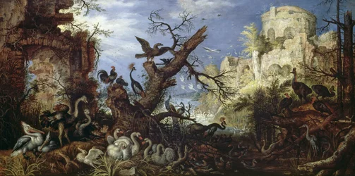 Paysage avec des oiseaux