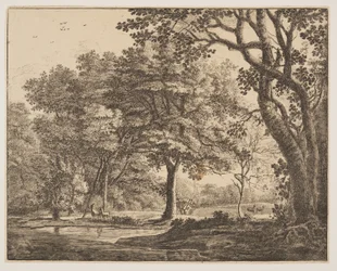 Planche. 6, tirée de Six vues dans le bois de La Haye