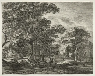 Six vues dans le bois de la Haye (série)