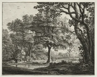 Six vues dans le bois de La Haye : Planche 6, Deux cerfs