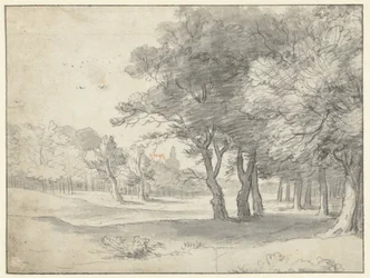 Vue dans le Haagse Bos, avec la Grote Kerk, La Haye, au loin