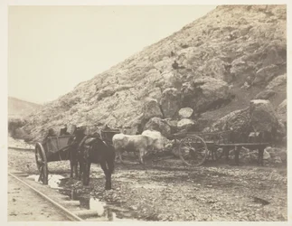 Bétail et charrettes, quittant Balaklava