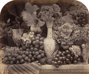 Fruits et fleurs, 1860
