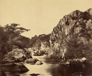 Étang aux hérons sur le Lledr