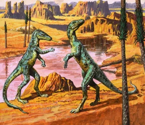 Saltoposuchus, illustration de "Au temps des dinosaures, découverte dans le désert", 1980 (gouache sur papier)