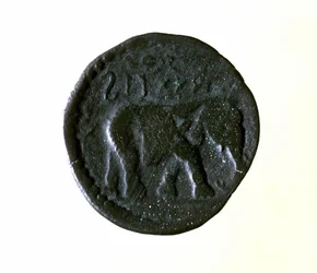 Pièce de Carthage représentant un éléphant. IIIe ou IIe siècle av. J.-C.