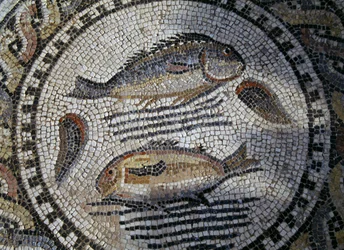 Poissons, mosaïque dans la ville romaine de Volubilis (Liste du patrimoine mondial de l